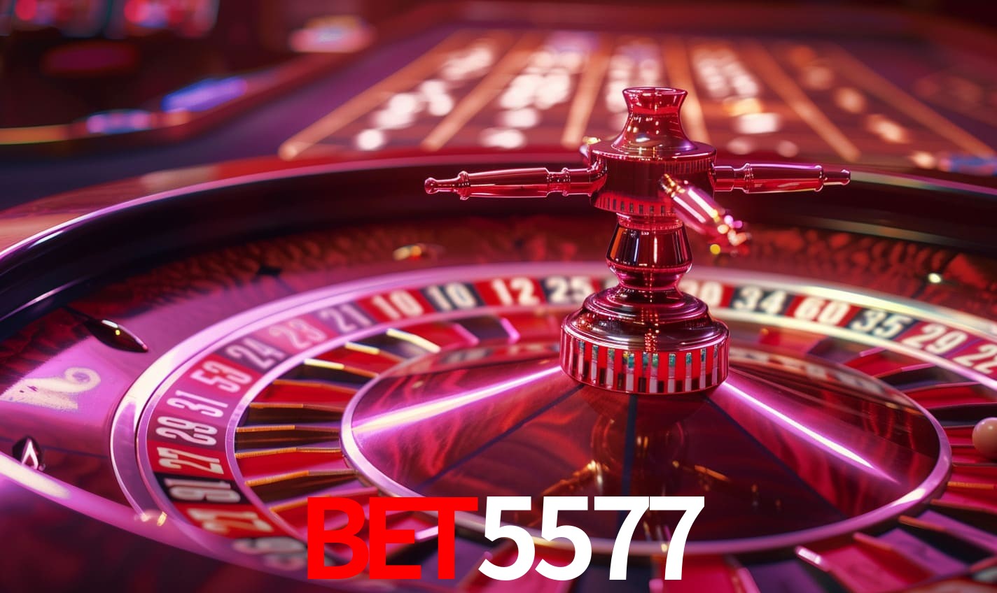 A Experiência Imersiva dos Cassinos Ao Vivo no bet5577